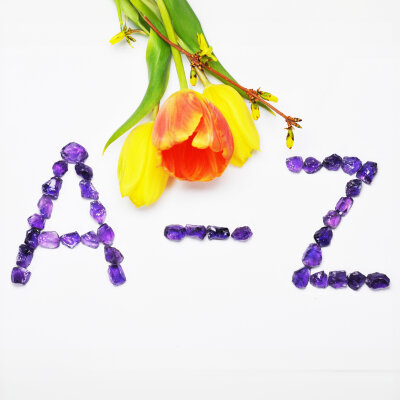  In diesem Bereich "Steine von A - Z"...