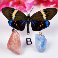 B