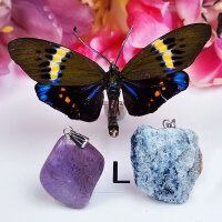 L